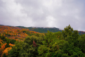 Greece, Mount Pelion, Natura 2000 area, wonderful autumn landscape, with autumn colors