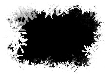 Image mask transparent background