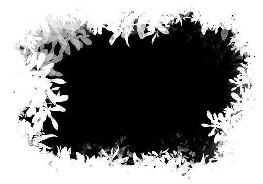 Image mask transparent background
