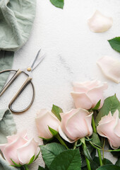 Top view of a bouquet of pink roses, scissors and fabric