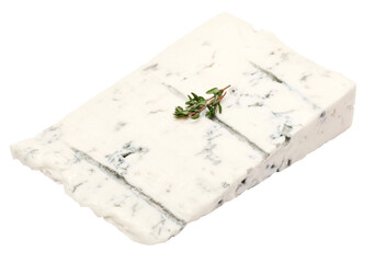famous traditional italian Gorgonzola blue cheese isolated