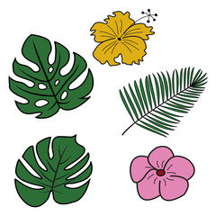 Tropical vector flowers and leaves. exotic plants. Illustration of beautiful hand-drawn tropical plants