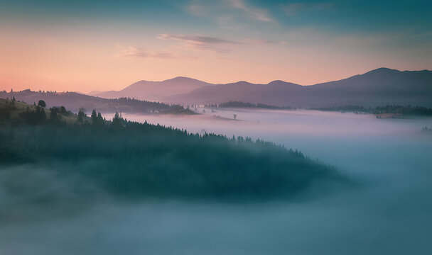 Incredible Nature Landscape. Amazing countryside landscape with valley in fog behind the forest on the grassy hills. Picture of wild area. Awesome nature Background. Carpathian mountains. Ukraine