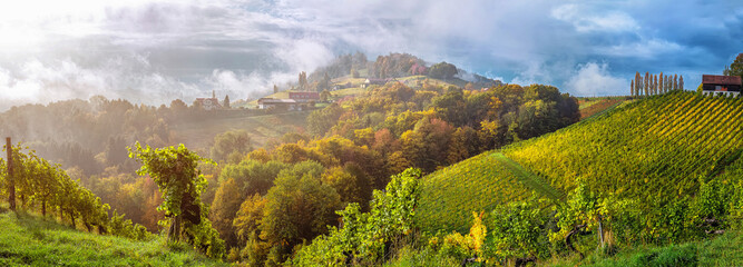 Wonderful fairy tale nature scenery of Austria. View on vineyard and  old winery house during...