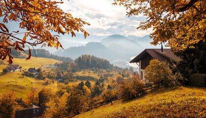 Autumn mountain valley. Autumn landscape beautiful colored trees over the green meadow glowing in sunlight. Beautiful natural landscape in the autumn time. Switzerland
