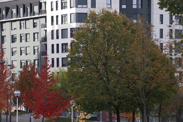 Urbanscape in the city of Bilbao