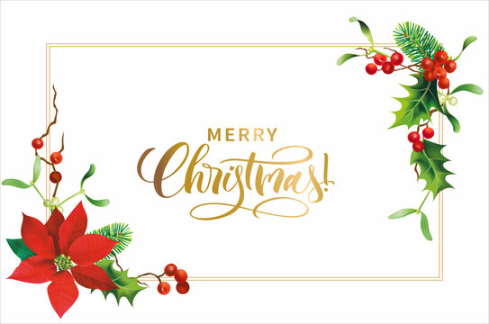 Christmas background with frame, greeting and floral elements: poinsettia, fir and holly branches. Vector illustration. 