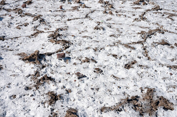 Badwater Basin natural landscape detail