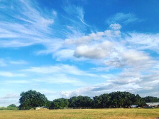 field and blue sky
