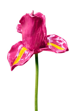 Beautiful pink sword iris replica. Released for image montage.