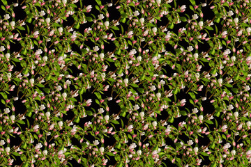 Seamless repeating spring pattern with delicate apple blossoms