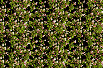 Seamless repeating spring pattern with delicate apple blossoms