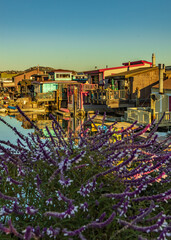 California-Sausalito-Sausalito Floating Homes