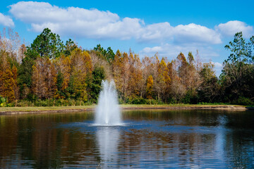 Colorful winter tropical tree leaf and pond	