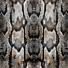 Seamless snake texture, python pattern.