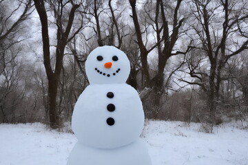 Obraz premium Realistic illustration of snowman outdoors, generative ai