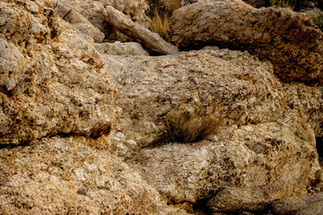 Borrego Springs Rocks