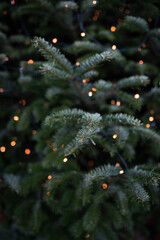 Fairy lights on christmas tree. Illuminated fir branches on a christmas market. Vertical close-up...