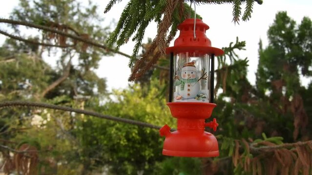 red lantern on a tree