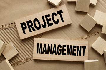 Project Management. text on wooden blocks. many scattered cubes. craft paper