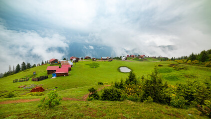 Obraz premium Badara Plateau in Rize, Turkey. This plateau located in Camlihemsin district of Rize province. Kackar Mountains region.