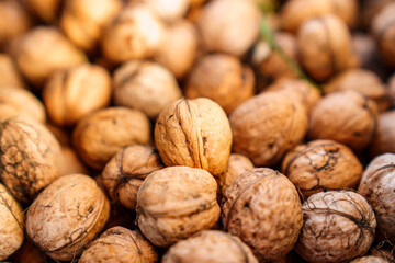 boxes of walnuts. harvesting nuts on the farm. 