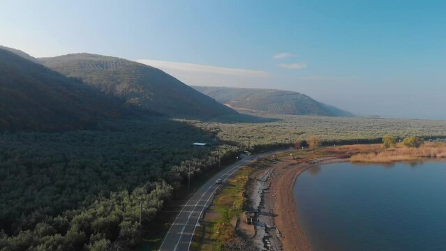 A valley and lake filled with olive trees, Iznik Lake and olive trees, aerial view, Iznik Bursa Turkey