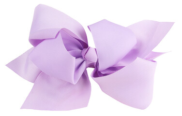 Colorful beautiful purple hair bow tie isolated on white background