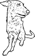 Vector homeless multibred dog illustration. Sketch style.
