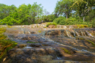 small river in the forest waterfall city of Bonito, Mato Grosso do Sul Brazil Pantanal