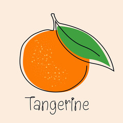 Tangerine, mandarin, orange continuous line icon. Citrus fruit one line hand drawn silhouette. Organic, vegan concept. Modern minimal style linear logo sign. Vector scribble logotype