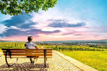 Blick über die Weinberge bei Rüdesheim am Rhein, Hessen, Deutschland 