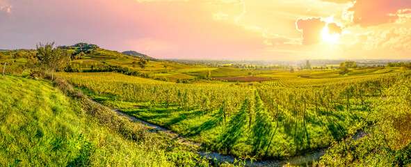 Weinberge, Hessische Bergstrasse, Hessen, Deutschland 