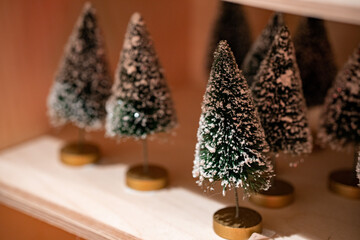 Little Christmas tree 