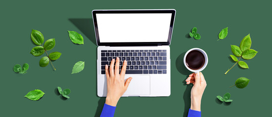 Person using a laptop computer with green leaves - flat lay