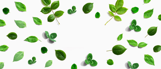 Green leaf frame design background - flat lay