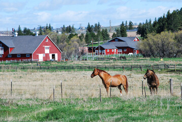 Horses near a western ranch 