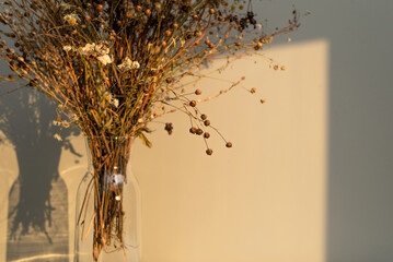 Bouquet of dried flowers on the table in a glass vase, in the light of the sun, contrasting image,...
