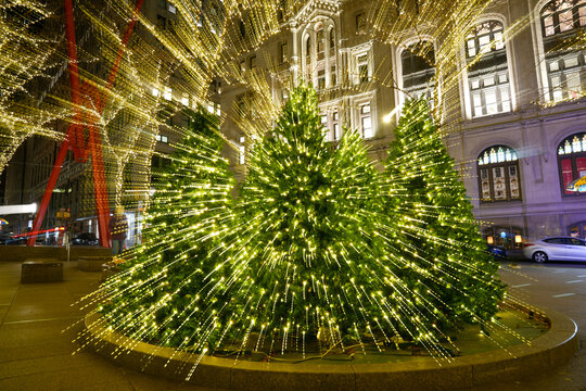 Holiday Lights