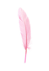 Beautiful delicate pink feather isolated on white