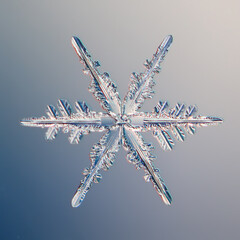 snowflake crystal macro, photo natural object, winter design