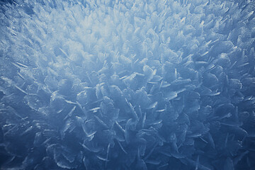 abstract winter background hoarfrost frost ice snow seasonal