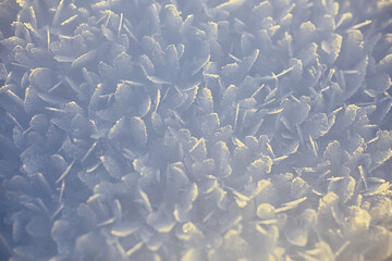 abstract winter background hoarfrost frost ice snow seasonal