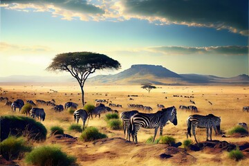 Fototapeta na wymiar Africa