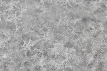 ice snow crystals background abstract white winter