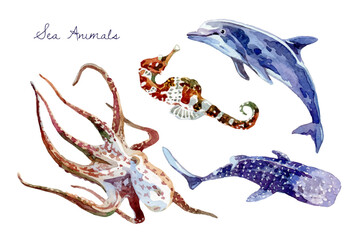 Fototapeta premium Watercolor sea animals collection