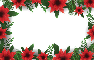 Green Poinsettias Flower Blank Space Floral Background