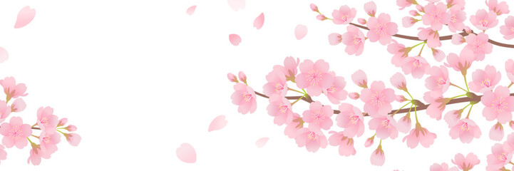 Áæé„Åó„ÅÑÊ°ú„ÅÆËÉåÊôØ„Éï„É¨„Éº„É†Á¥†ÊùêÔºà3Ôºö1Ôºâ_„Éô„ÇØ„Çø„Éº„Ç§„É©„Çπ„Éà