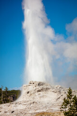 The Castle geyser at Yellowstone National Park