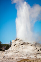 The Castle geyser at Yellowstone National Park